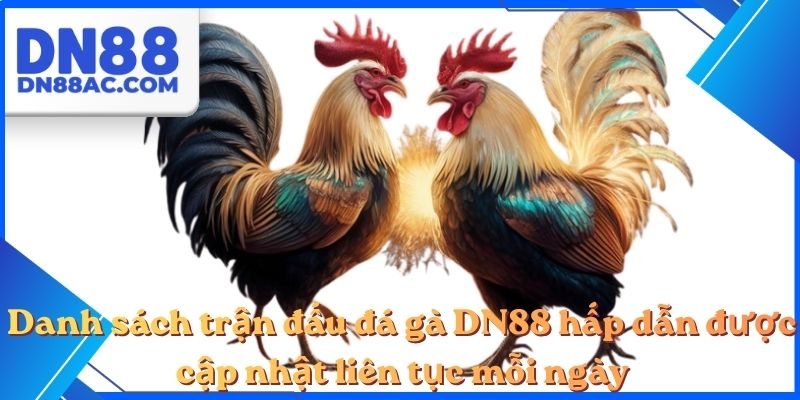 Danh sách trận đấu đá gà DN88 hấp dẫn được cập nhật liên tục mỗi ngày