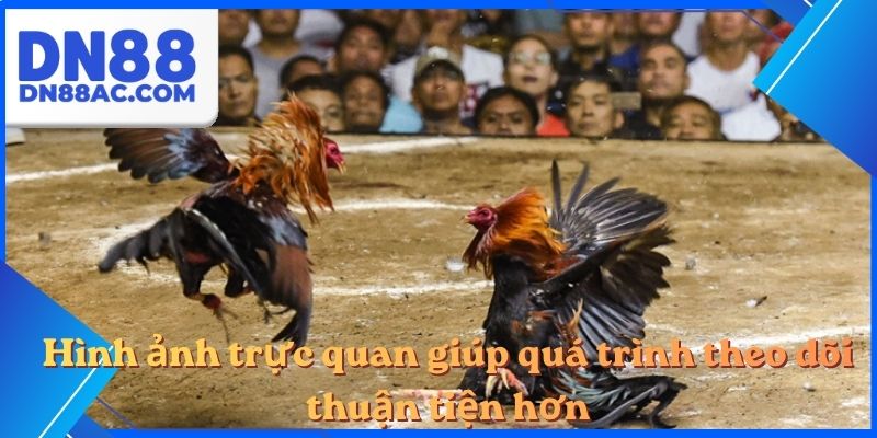 Hình ảnh trực quan giúp quá trình theo dõi thuận tiện hơn